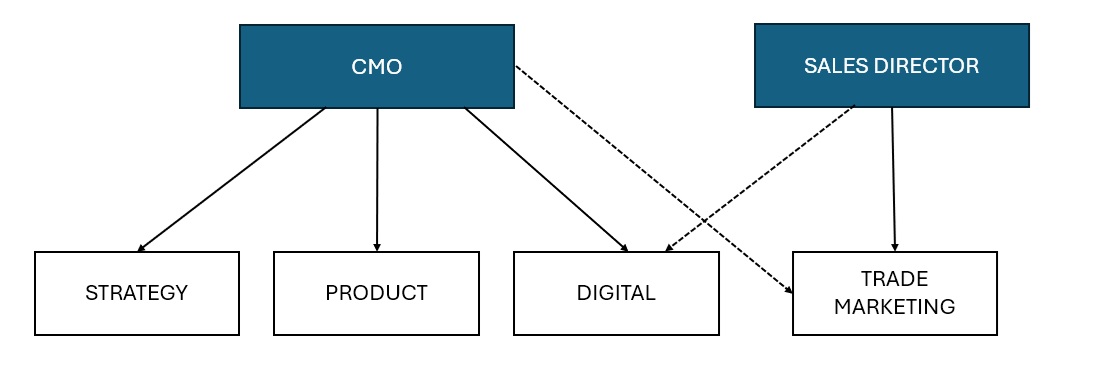 Organigramma CMO